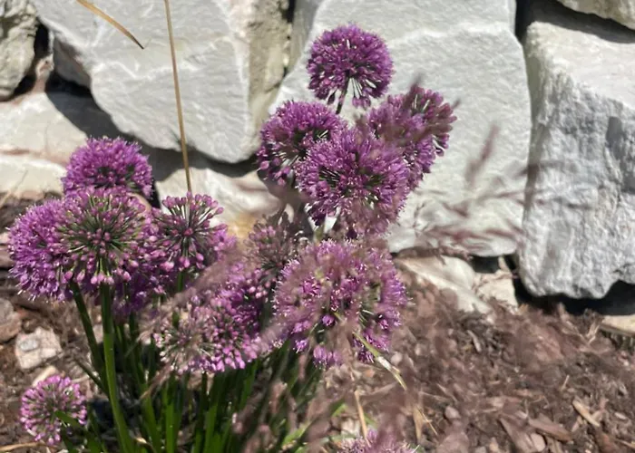 Casa de Férias Kleine Auszeit